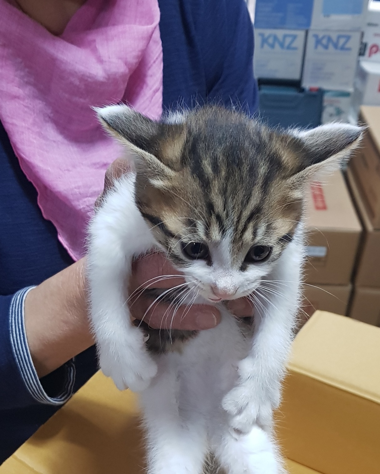 종합축산_447512202300231
