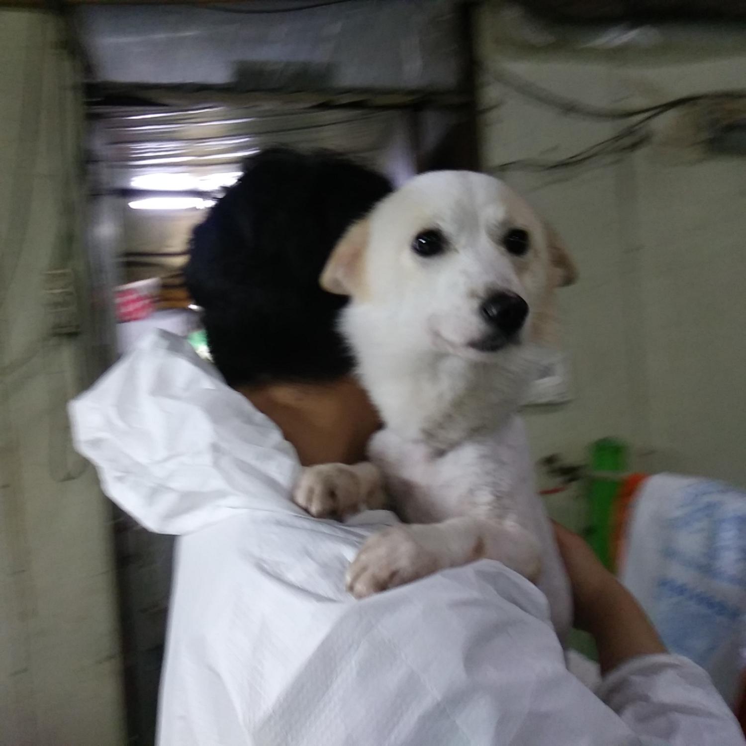 인천광역시수의사회_428353202300480