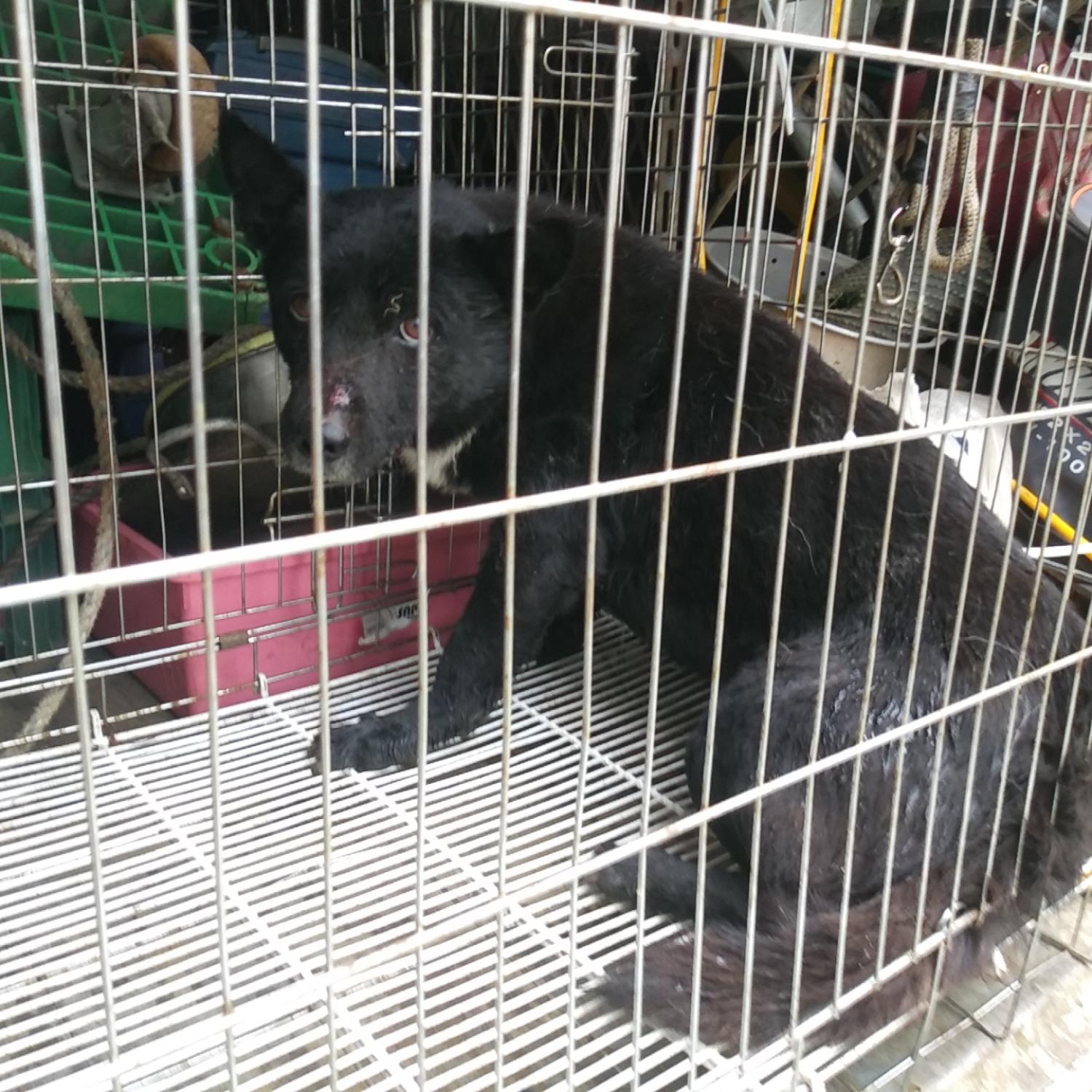 인천광역시수의사회_428353202300481