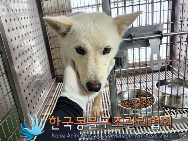 한국동물구조관리협회_441409202300522