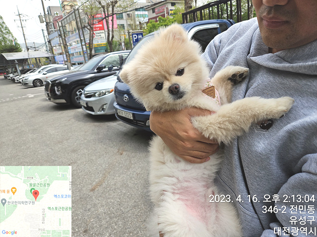 대전동물보호센터_430367202300096