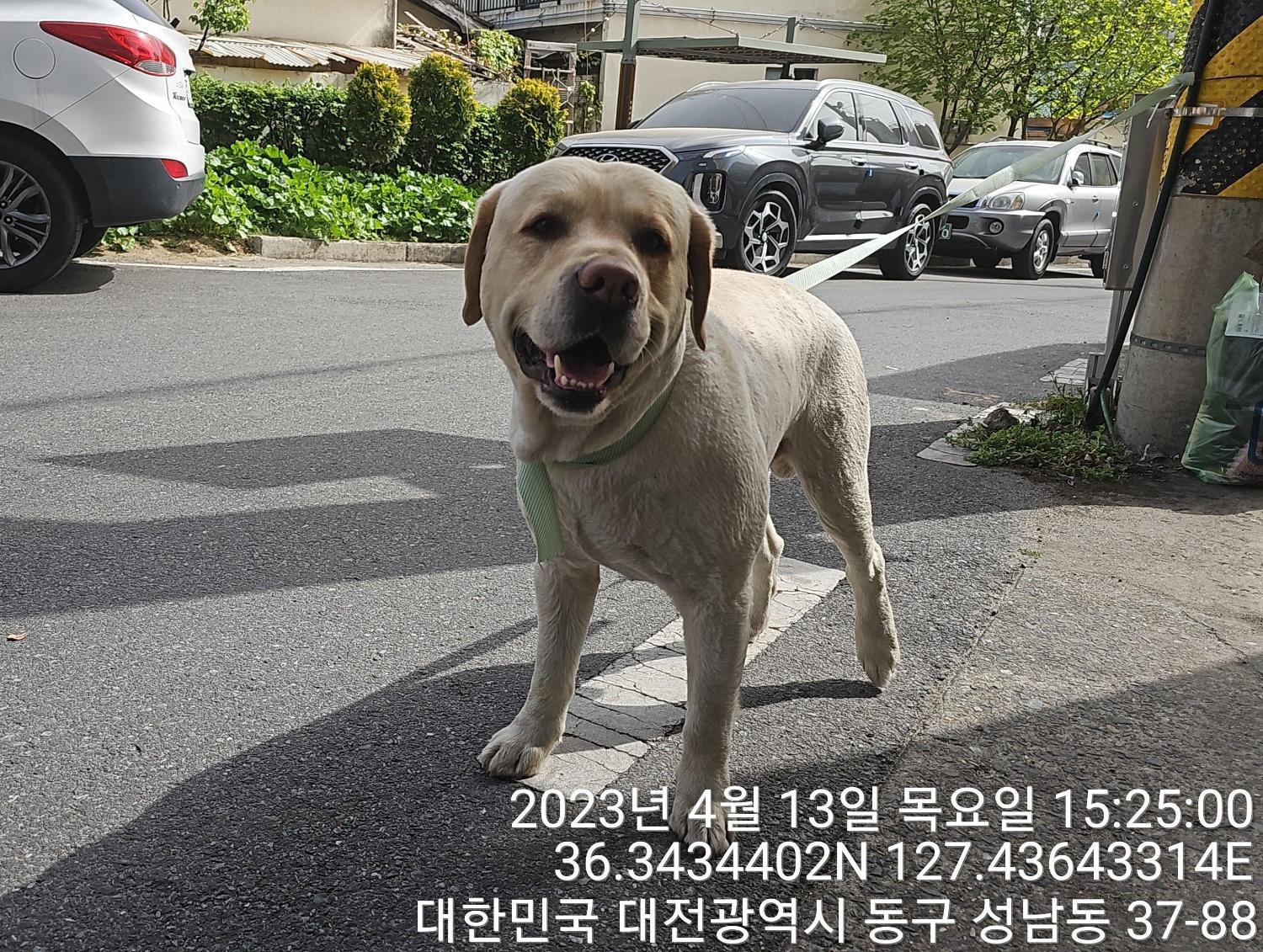 대전동물보호센터_430364202300113