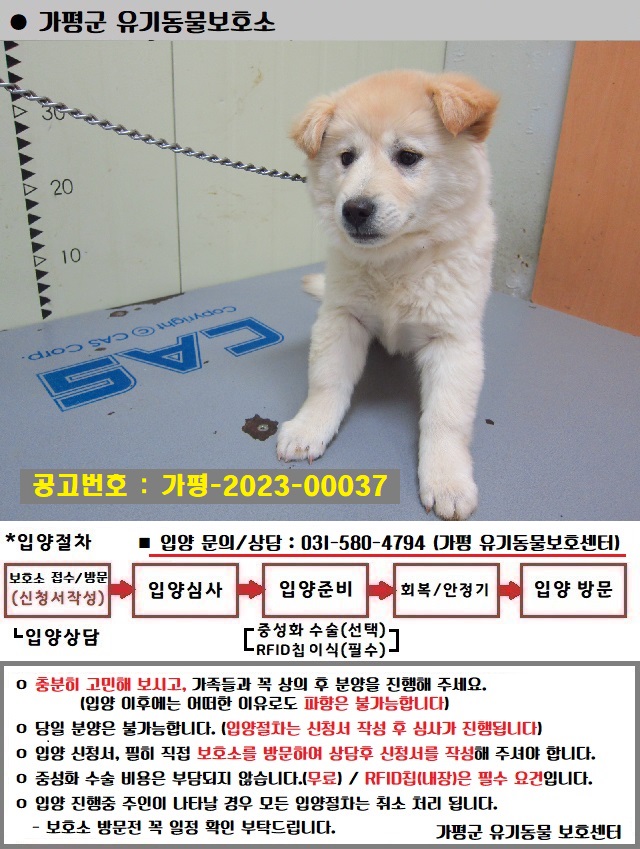 가평군유기동물보호소_441416202300159