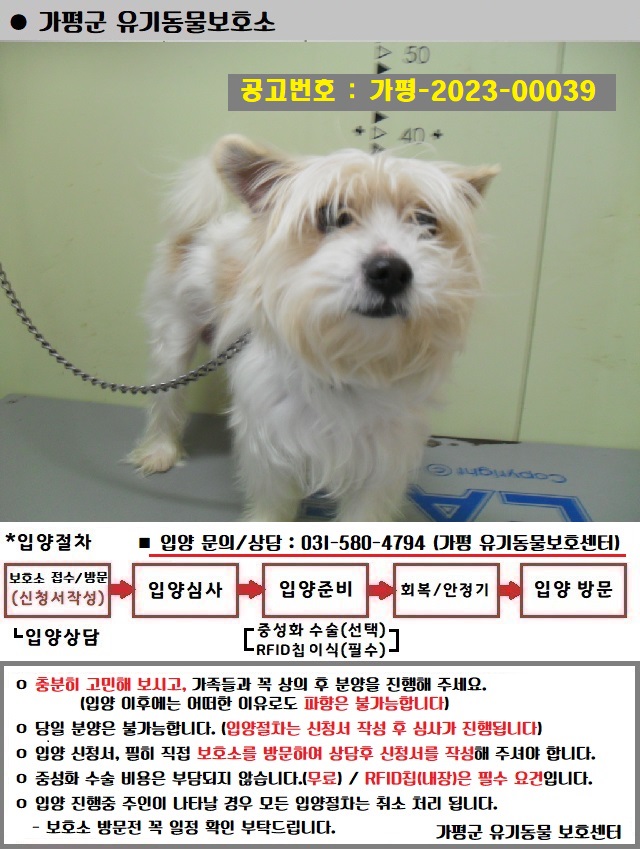 가평군유기동물보호소_441416202300161