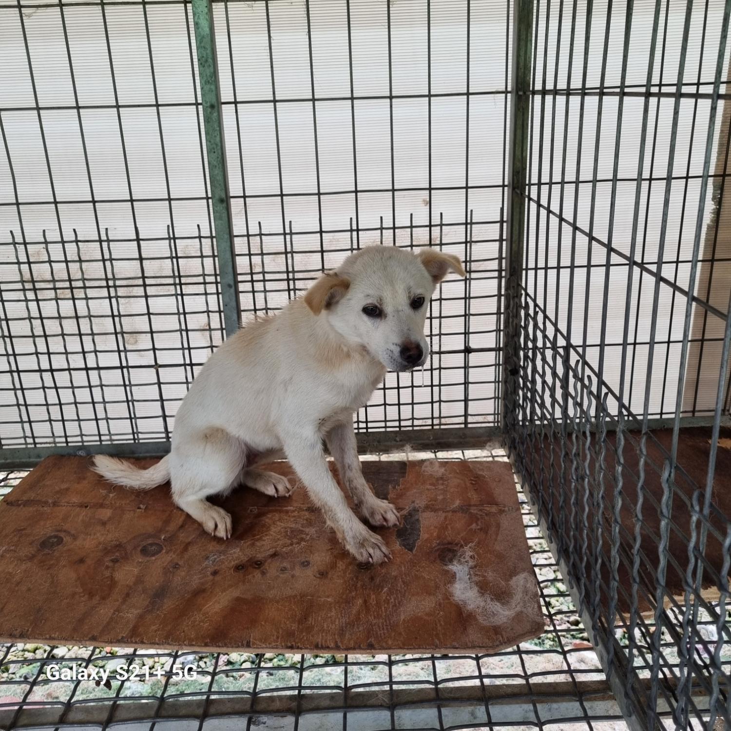 전북말산업복합센터_445471202300101