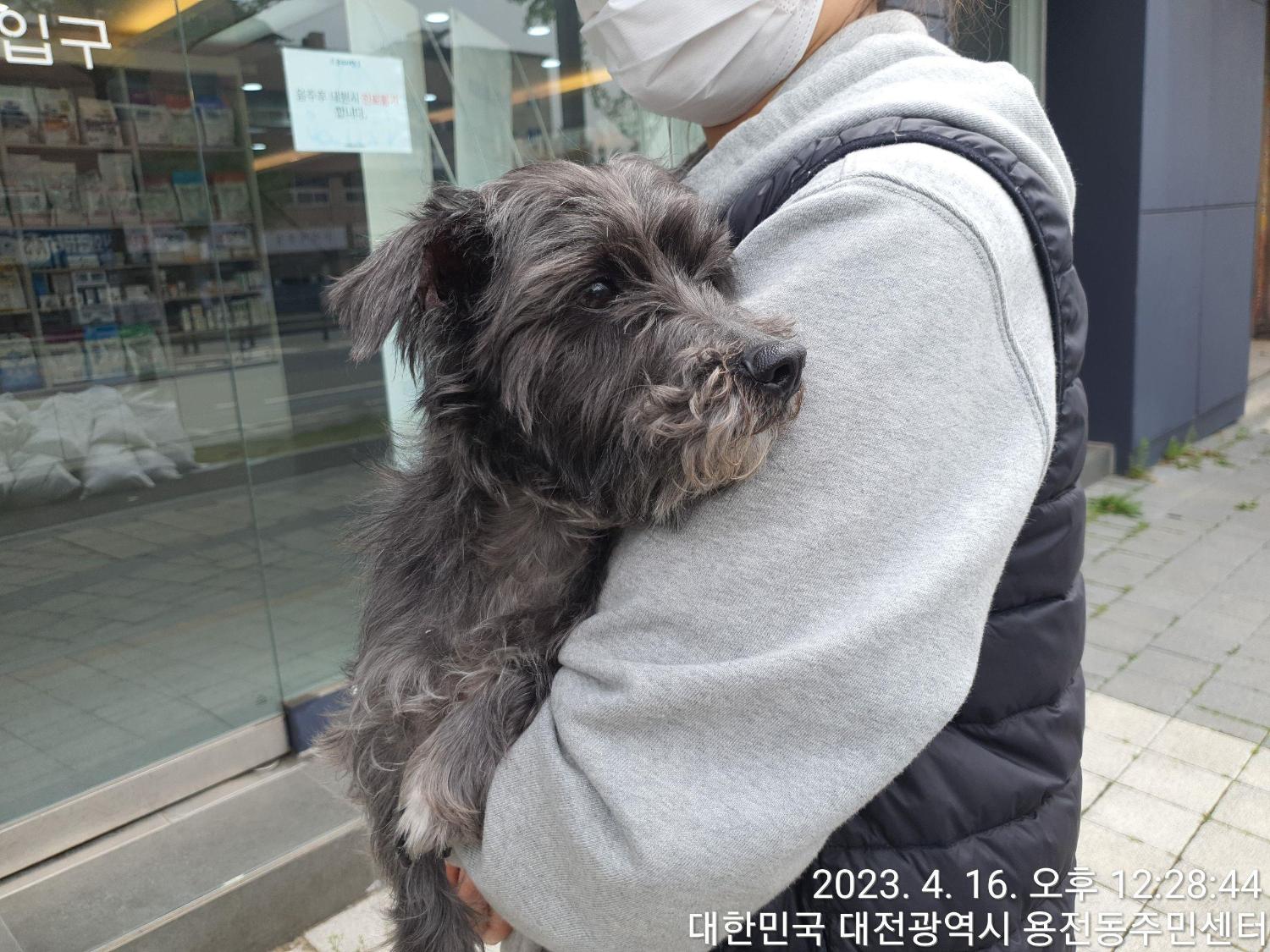 대전동물보호센터_430364202300117