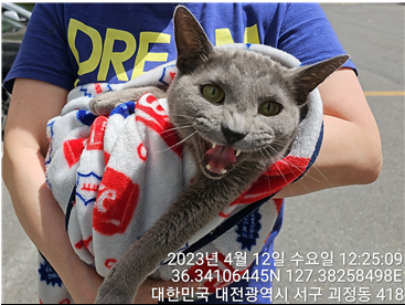 대전동물보호센터_430366202300172