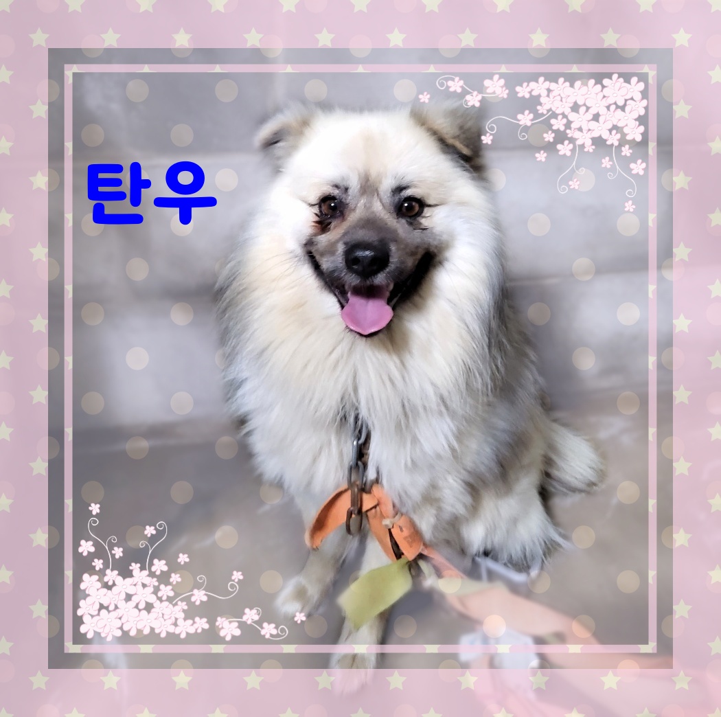 군산유기동물보호센터_445467202300563