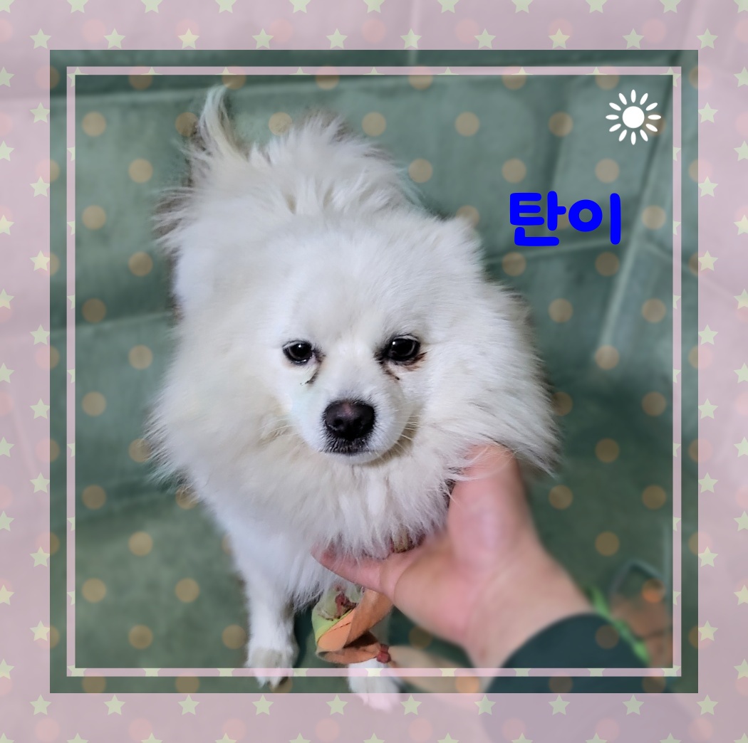 군산유기동물보호센터_445467202300562