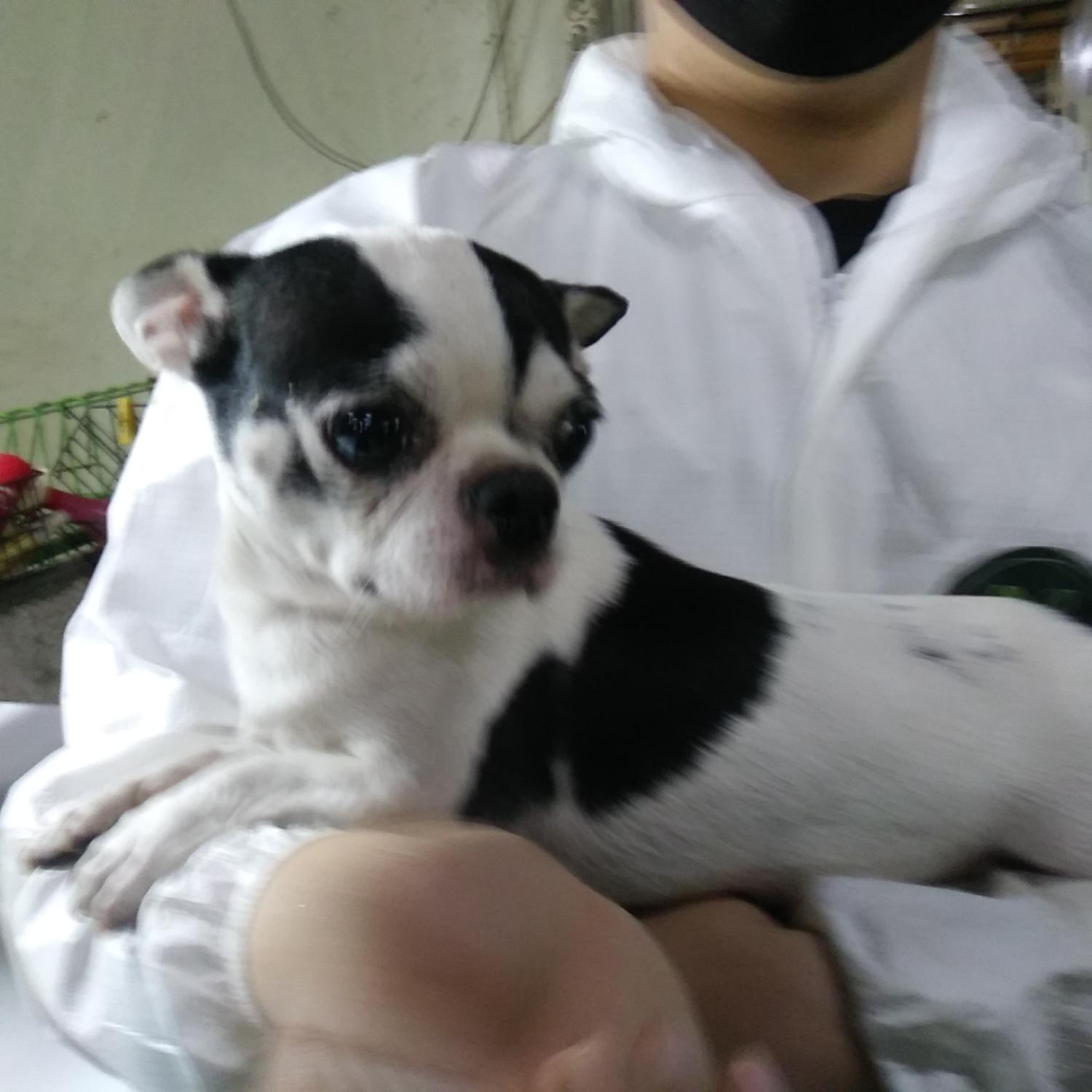 인천광역시수의사회_428351202300290