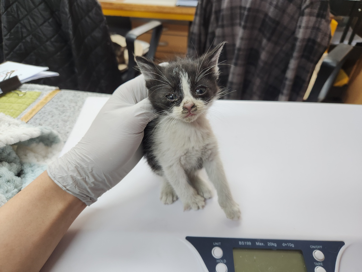 광주 동물보호소_429362202300192