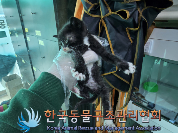 한국동물구조관리협회_411315202300270