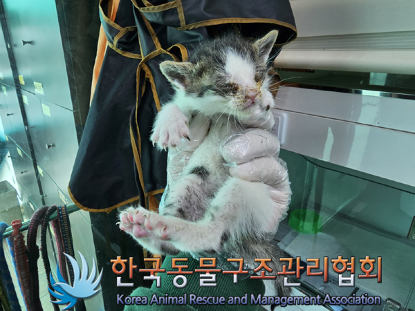 한국동물구조관리협회_411315202300275