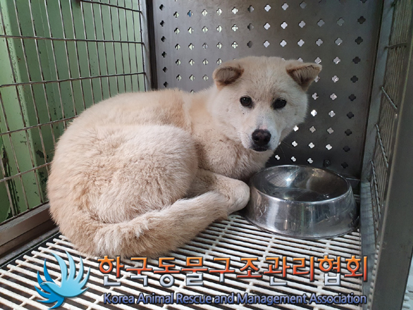 한국동물구조관리협회_441560202300333