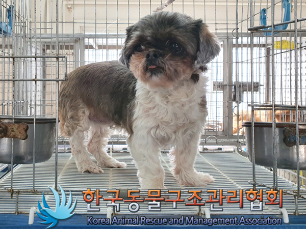 한국동물구조관리협회_441560202300332