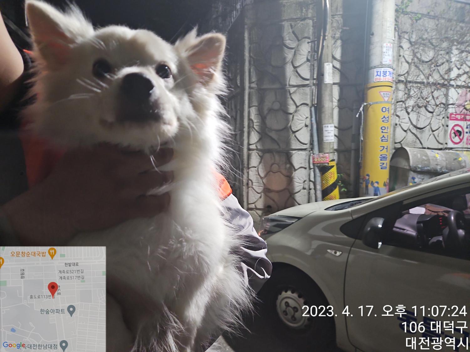 대전동물보호센터_430368202300174
