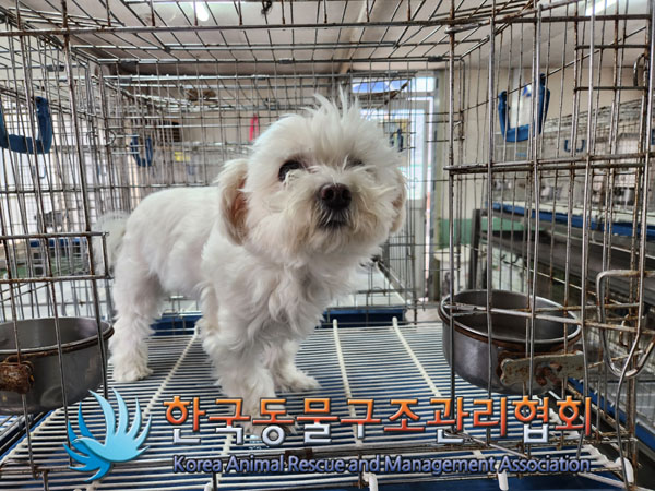 한국동물구조관리협회_411311202300262