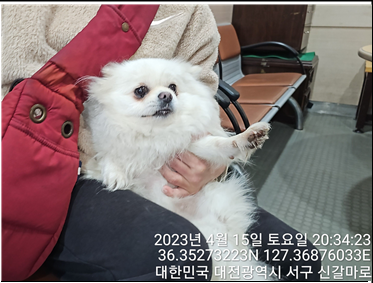 대전동물보호센터_430366202300176