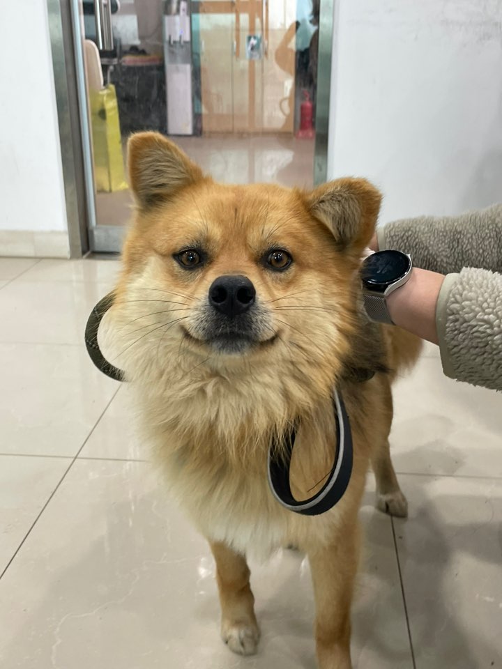 반려동물보호센터_443571202301195