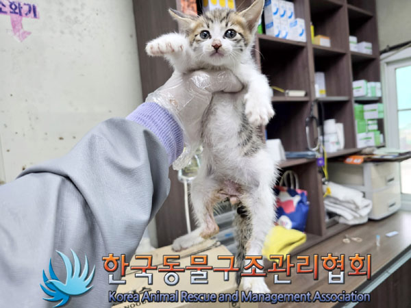종료(자연사) 한국…