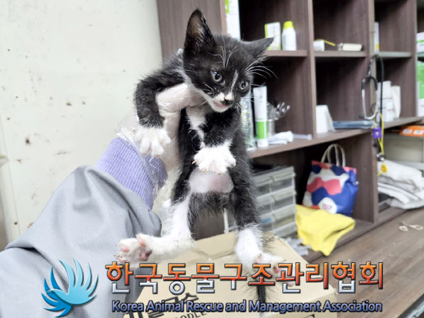 종료(자연사) 한국…