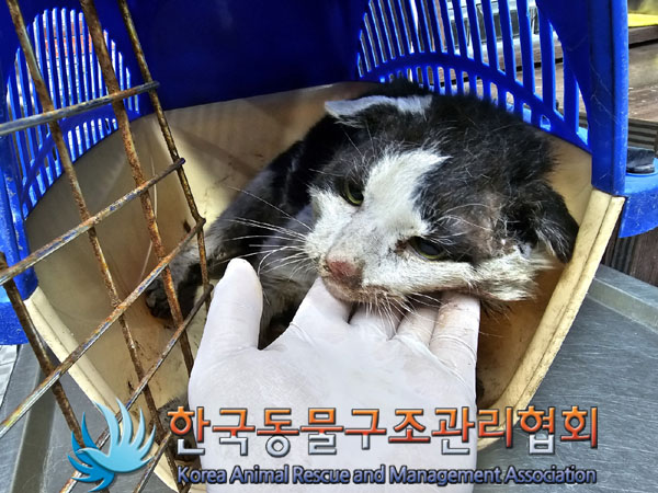 종료(자연사) 한국…
