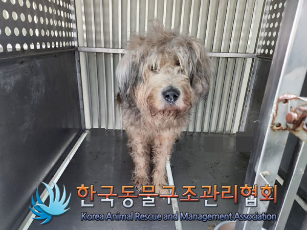 종료(안락사) 믹스…