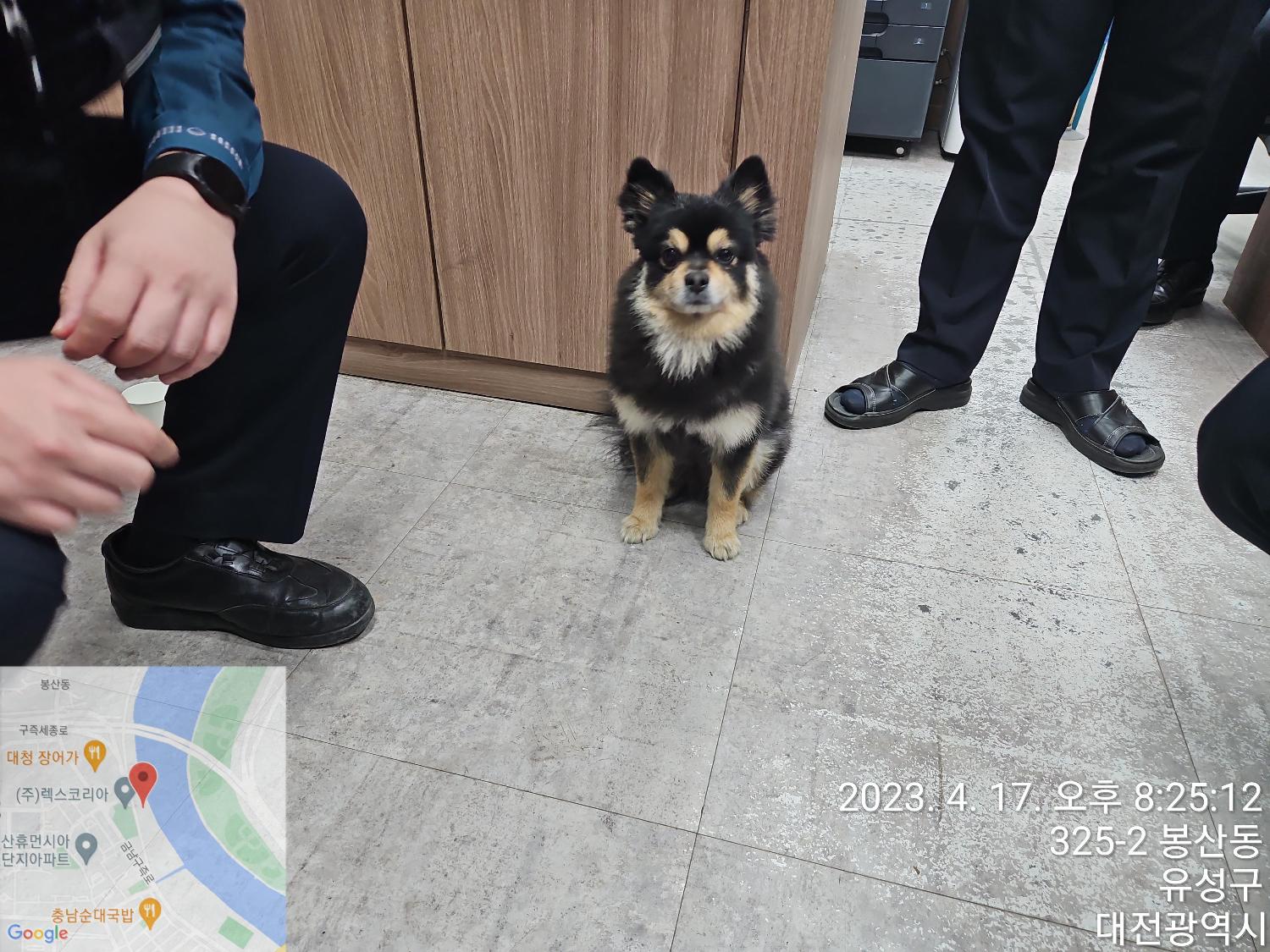 대전동물보호센터_430367202300098