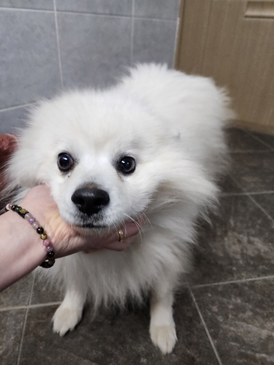 누리동물병원_426338202300054