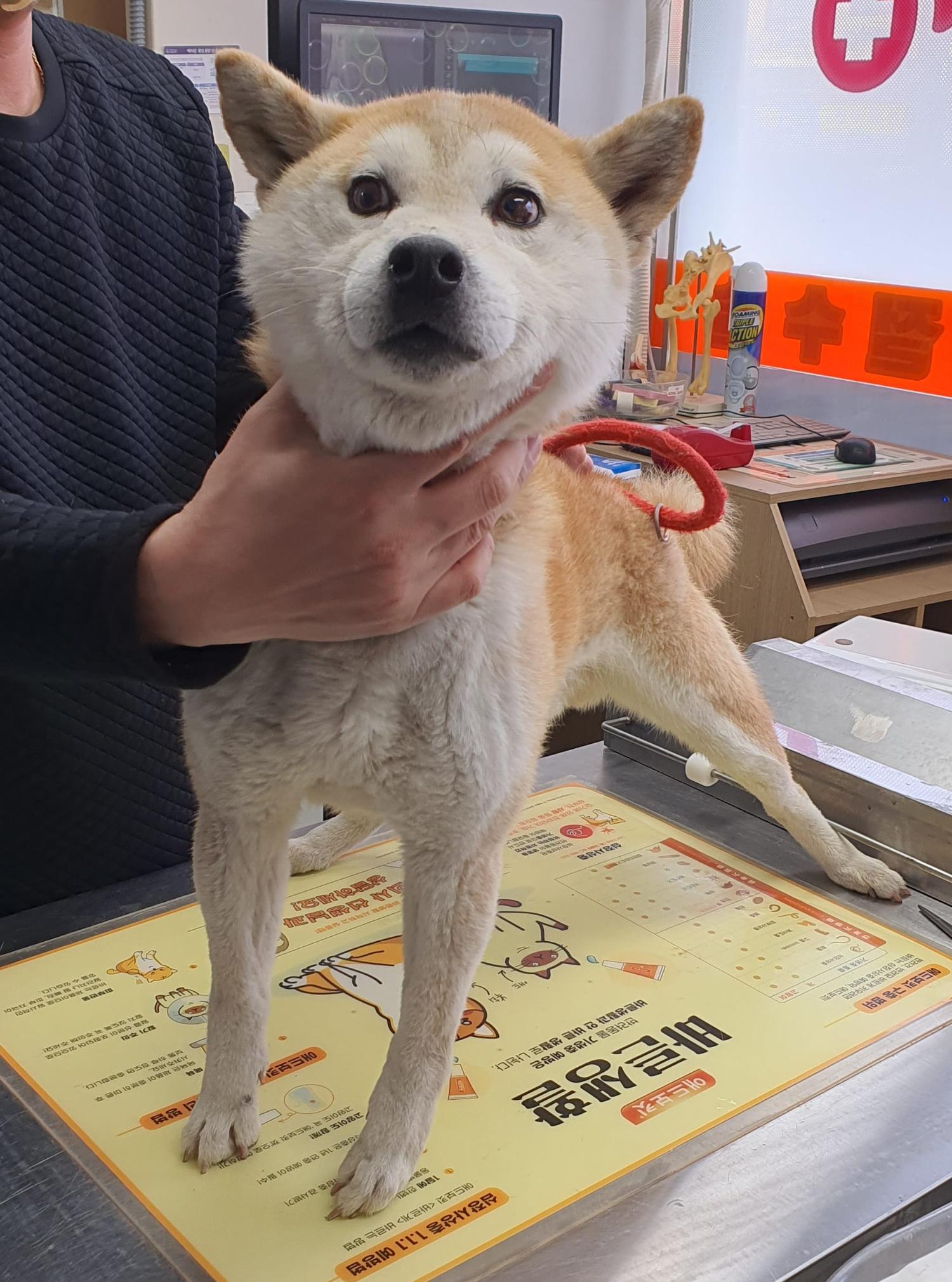 베스트동물병원_428357202300271