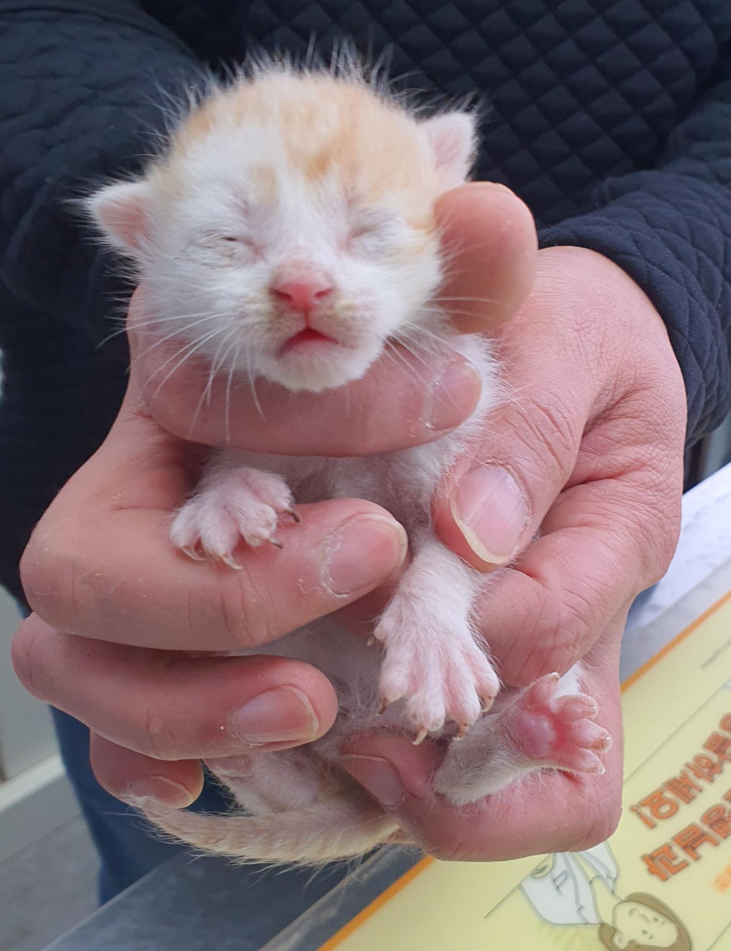 베스트동물병원_428357202300278