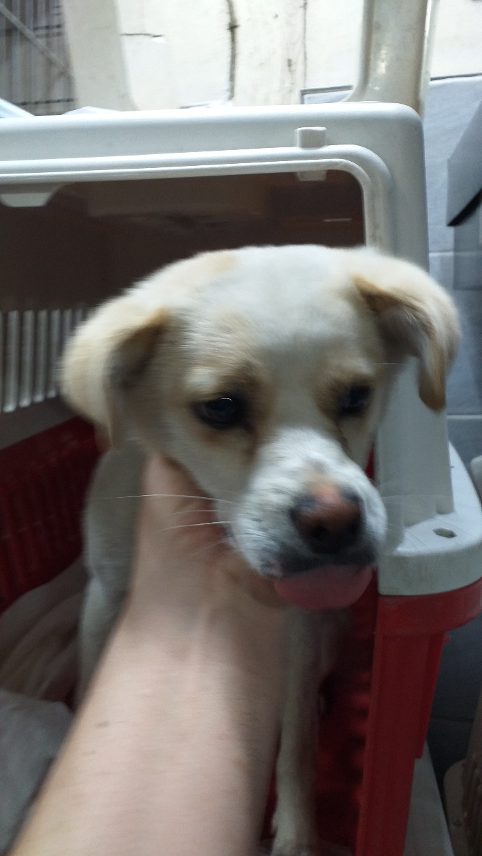 이성준동물병원_441408202300347