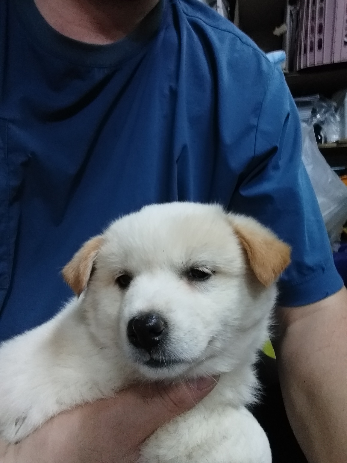 이성준동물병원_441408202300343