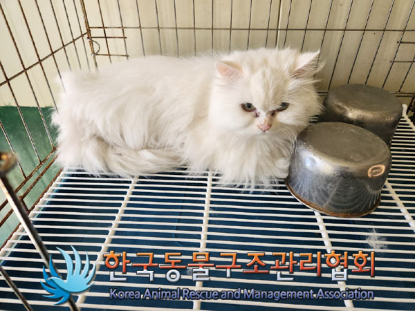 한국동물구조관리협회_411317202300077