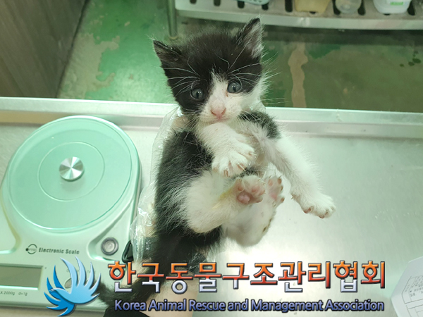 한국동물구조관리협회_411305202300144