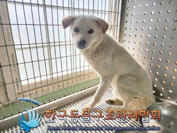 한국동물구조관리협회_441406202300474