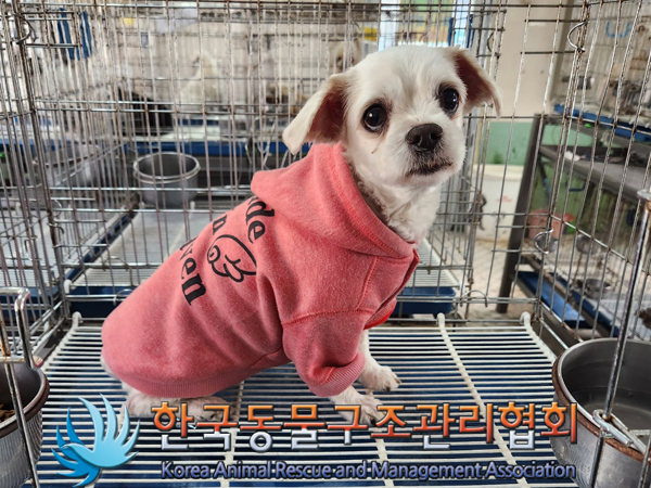 한국동물구조관리협회_411318202300181