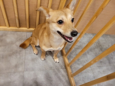 누리동물병원_426333202300120