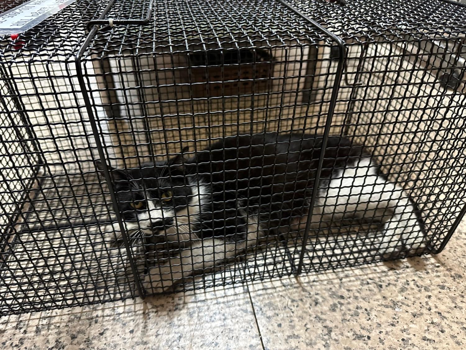 서신동물병원_445464202301598