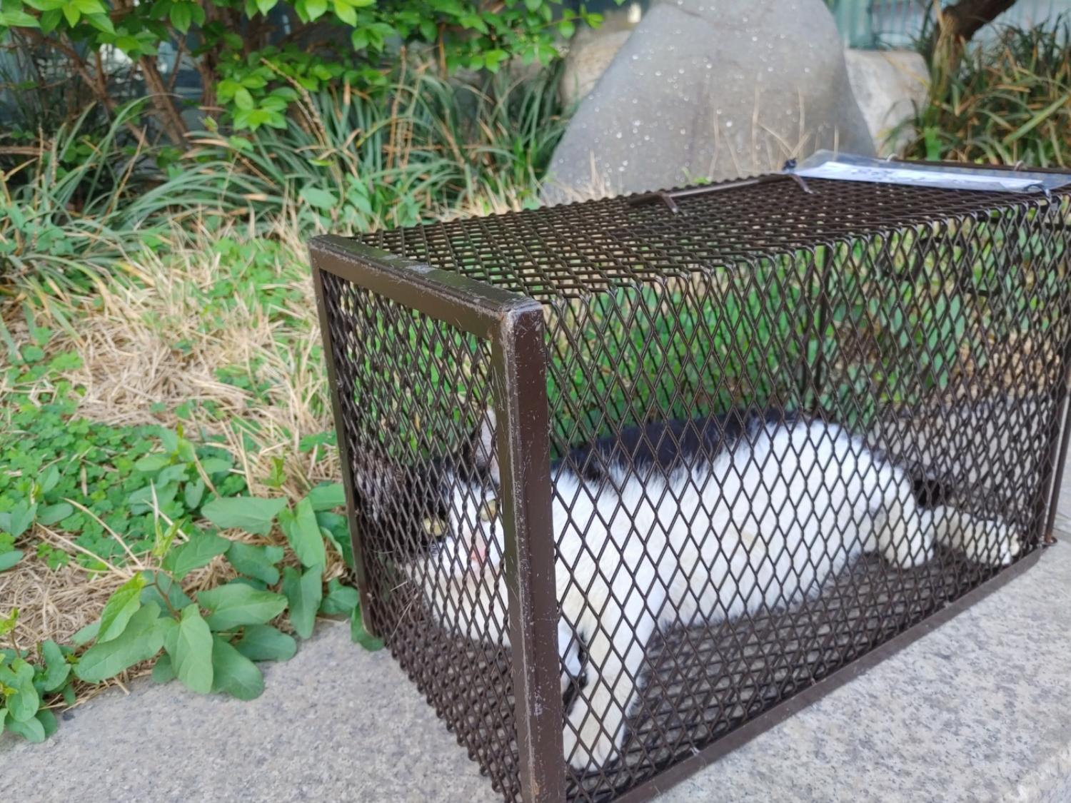 동대문구청_411305202300149