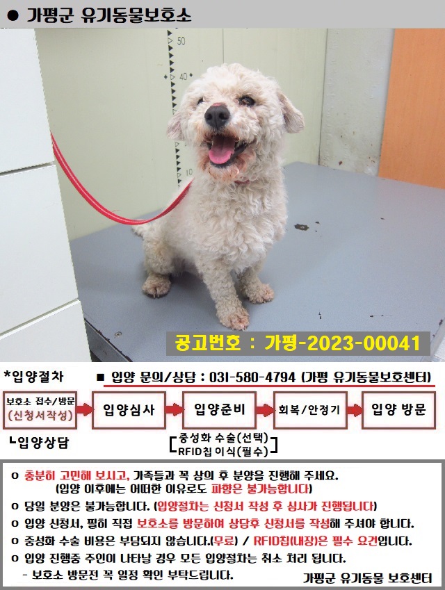 가평군유기동물보호소_441416202300163