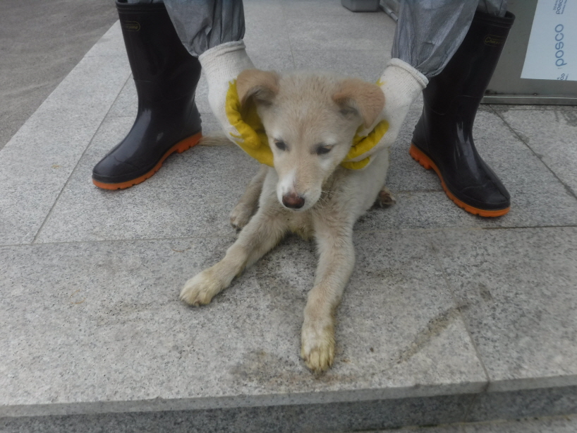 제주 동물보호센터_450650202301259
