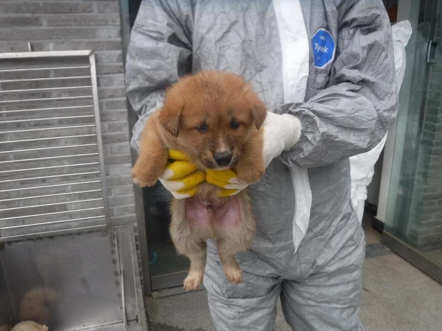 제주 동물보호센터_450650202301254