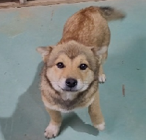 남부여동물병원_444457202300231