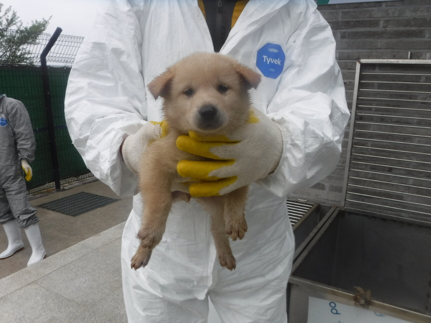 제주 동물보호센터_450650202301257