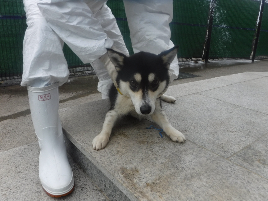 제주 동물보호센터_450650202301251