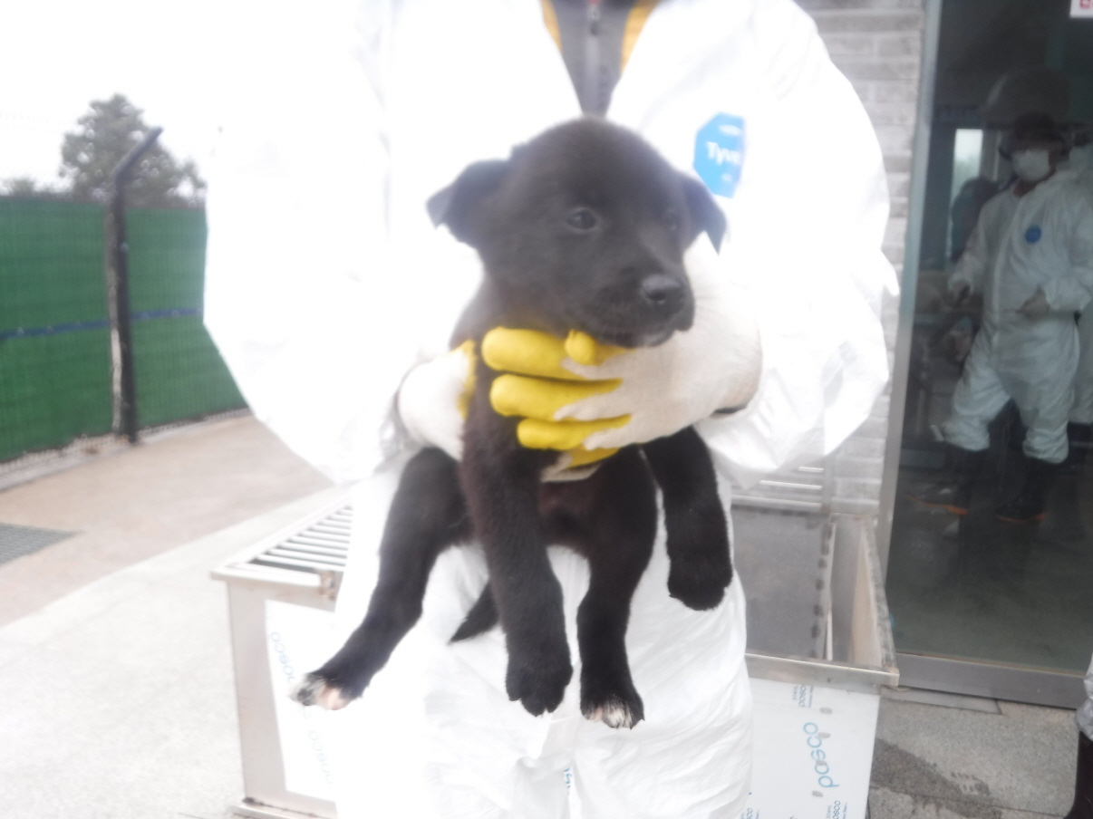 제주 동물보호센터_450650202301261