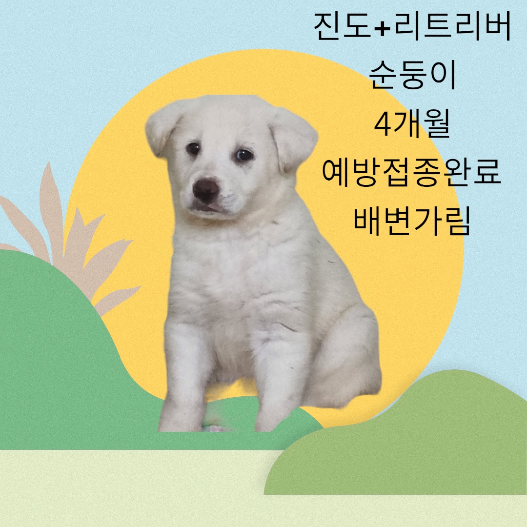 성주유기동물보호센터_447521202300145