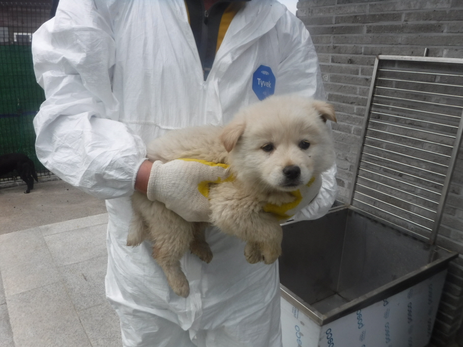 제주 동물보호센터_450650202301281