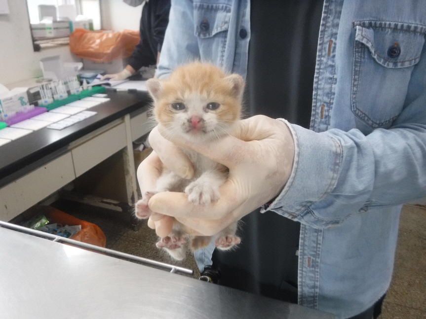제주 동물보호센터_450650202301292